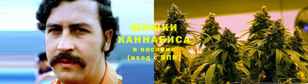 ALPHA PVP Белокуриха