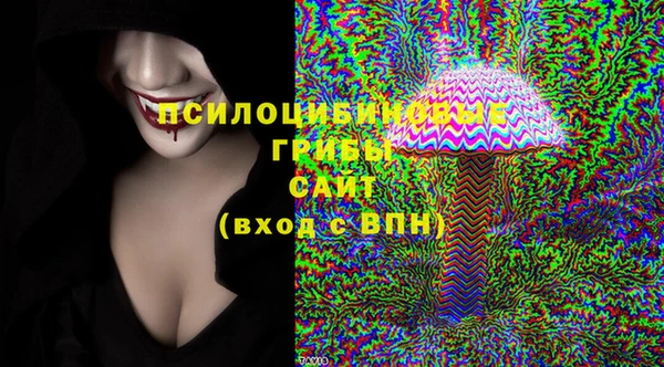 ALPHA PVP Белокуриха