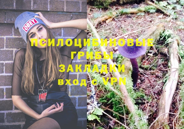 ALPHA PVP Белокуриха