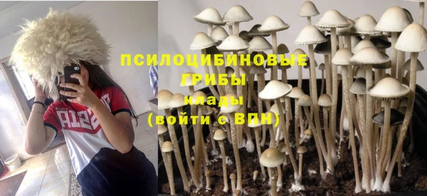 спайс Белоозёрский