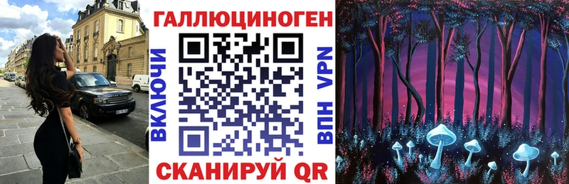 гидра ТОР  где можно купить   Малая Вишера  Галлюциногенные грибы Cubensis 